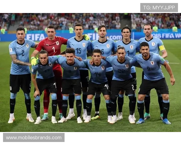 秘鲁队体能表现优异，持续提升备战世界杯的竞争力