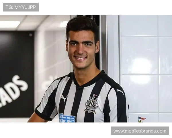 梅里诺比赛稳定性