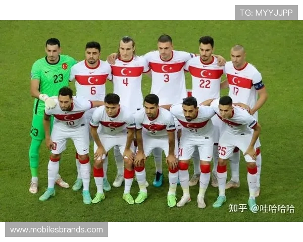 居莱尔 vs 恰尔汗奥卢:土耳其中场核心的战术角色与体系适配差异 居莱尔 vs 恰尔汗奥卢:土耳其中场核心的战术角色与体系适配差异