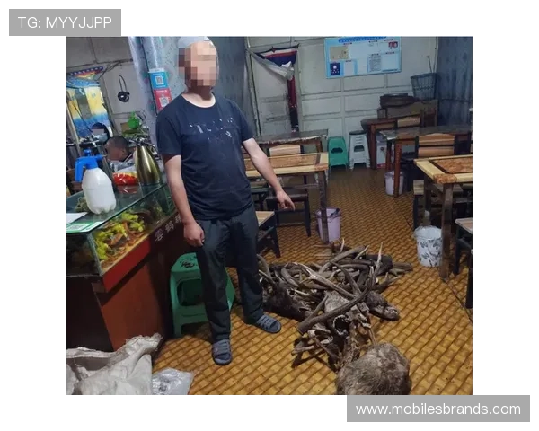 非法掩护是什么规则？新手教学解析