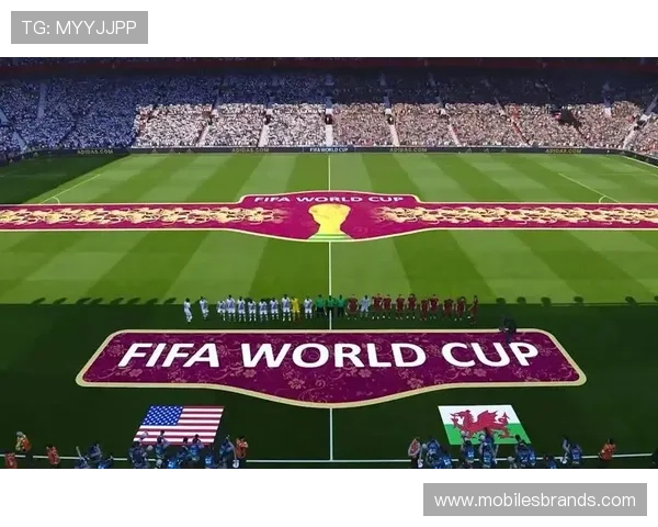 世界杯美国队D组对手战术特点解析